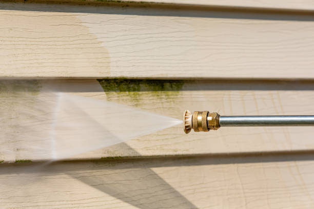 Best Local Pressure Washing Services  in Pontiac, MI
